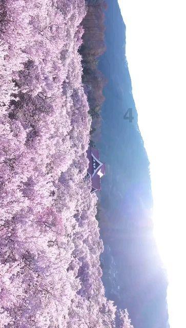孤岛危机