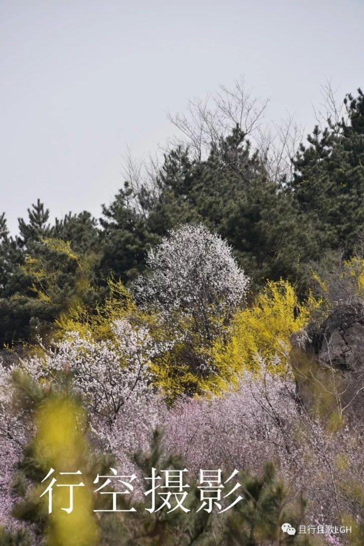 今年春运琼州海峡过海旅客、车辆数量或将再创历史新高