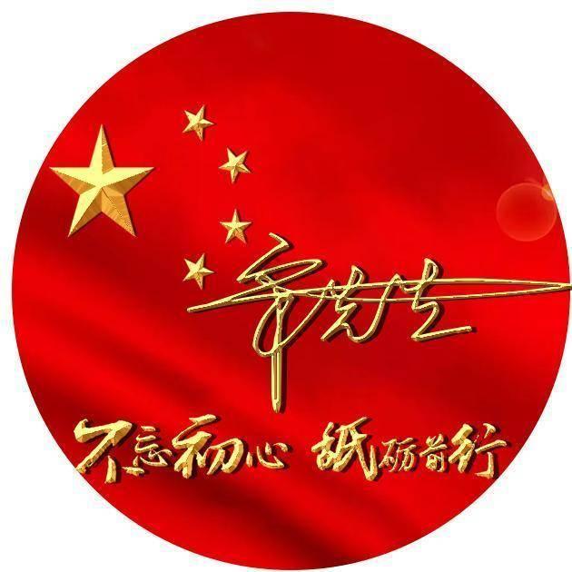 比熊犬新手养狗攻略