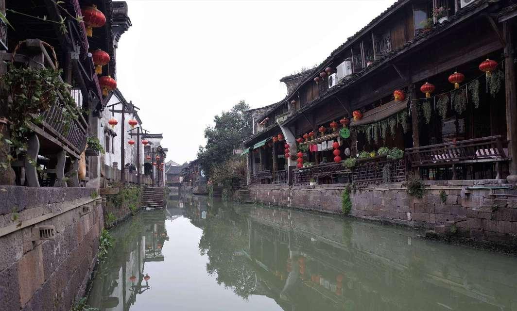 探索问答的野生枸杞盆景老桩这两个哪个好看??乐园